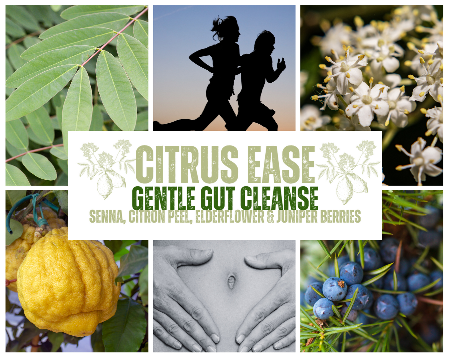 Citrus Ease- Tea for Gentle Gut Cleanse